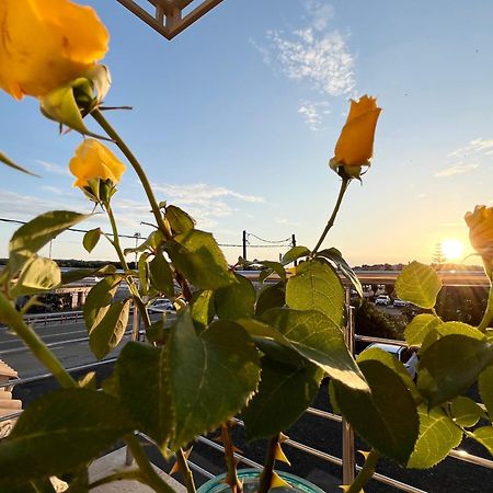 Corfu Airport Sweet Studio Εξωτερικό φωτογραφία