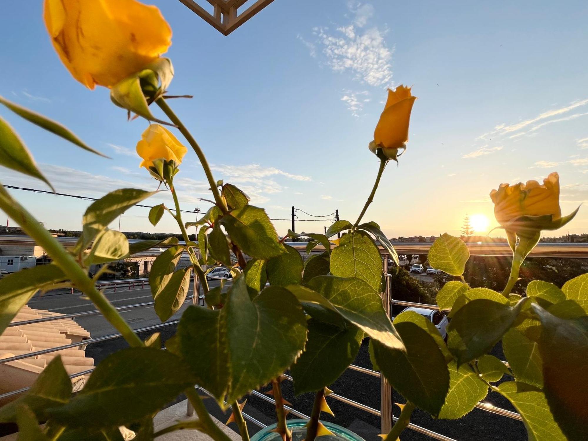 Corfu Airport Sweet Studio Εξωτερικό φωτογραφία
